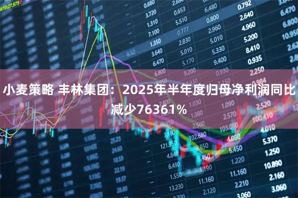 小麦策略 丰林集团：2025年半年度归母净利润同比减少76361%