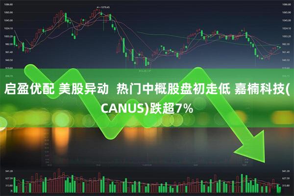 启盈优配 美股异动  热门中概股盘初走低 嘉楠科技(CANUS)跌超7%