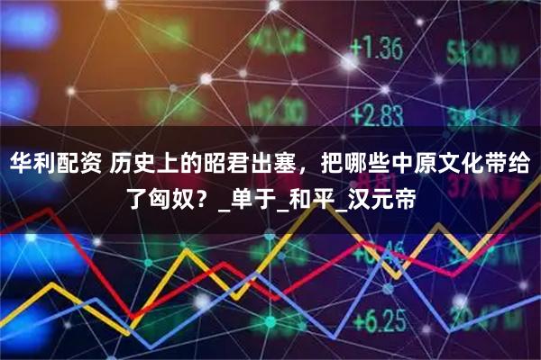 华利配资 历史上的昭君出塞，把哪些中原文化带给了匈奴？_单于_和平_汉元帝