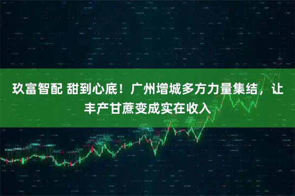 玖富智配 甜到心底！广州增城多方力量集结，让丰产甘蔗变成实在收入